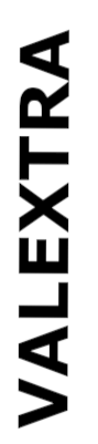 LOGO VALEXTRA